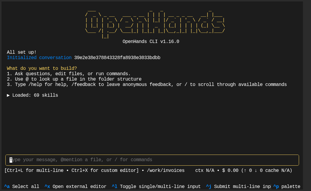Запуск openhands --override-with-envs: версия OpenHands CLI v1.16.0, сообщение All set up! и поле ввода задачи