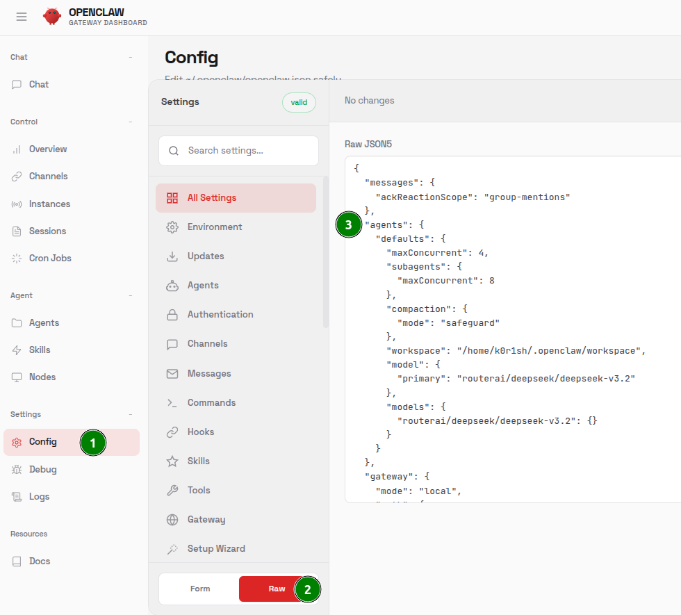 OpenClaw редактирование config в raw режиме