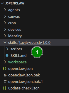 OpenClaw добавление skill в папку skills
